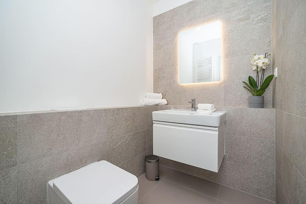 Apartmán High-class Rooftop Apt. With Spacious Terrace Prague